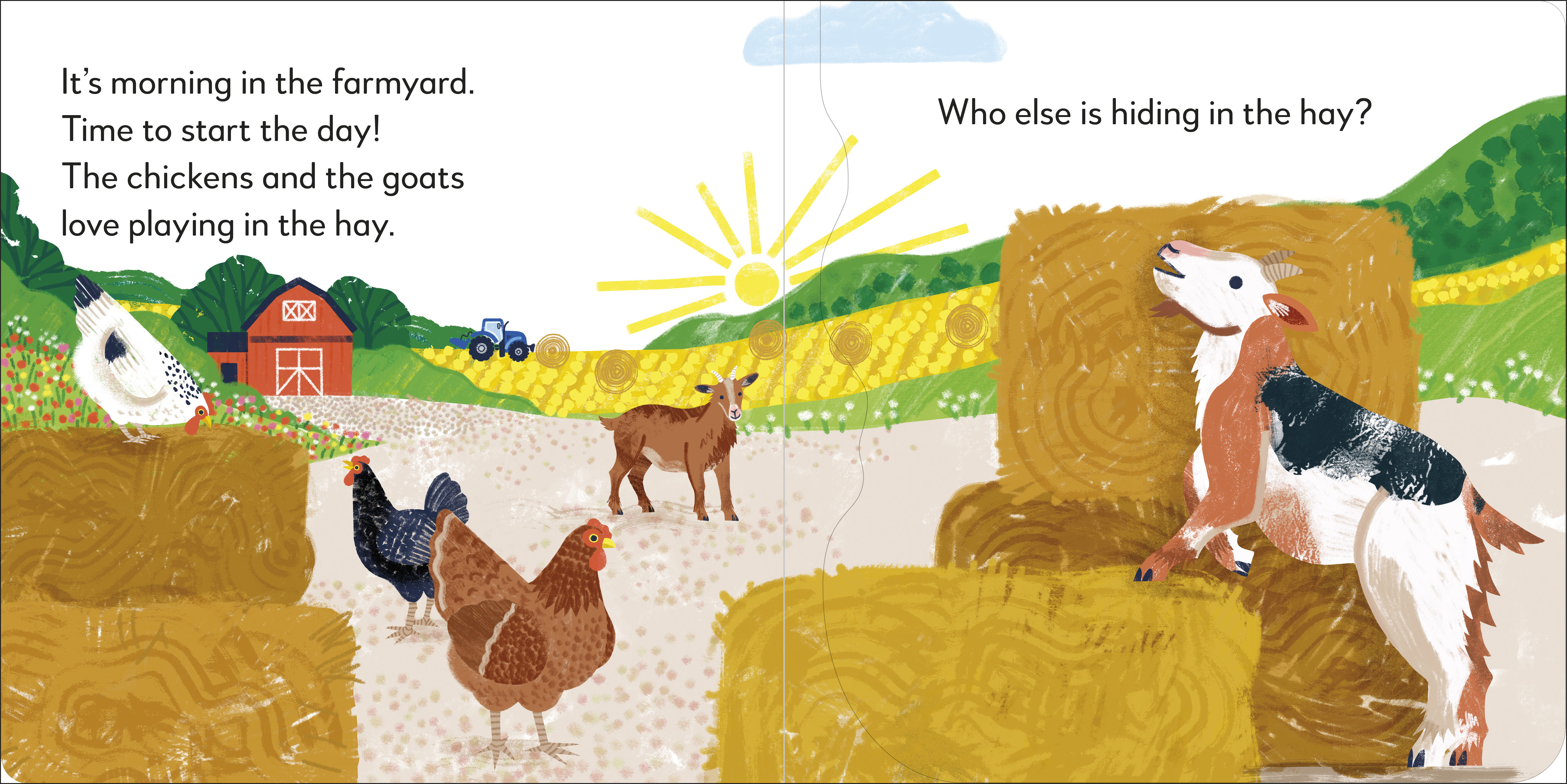 additional book photo