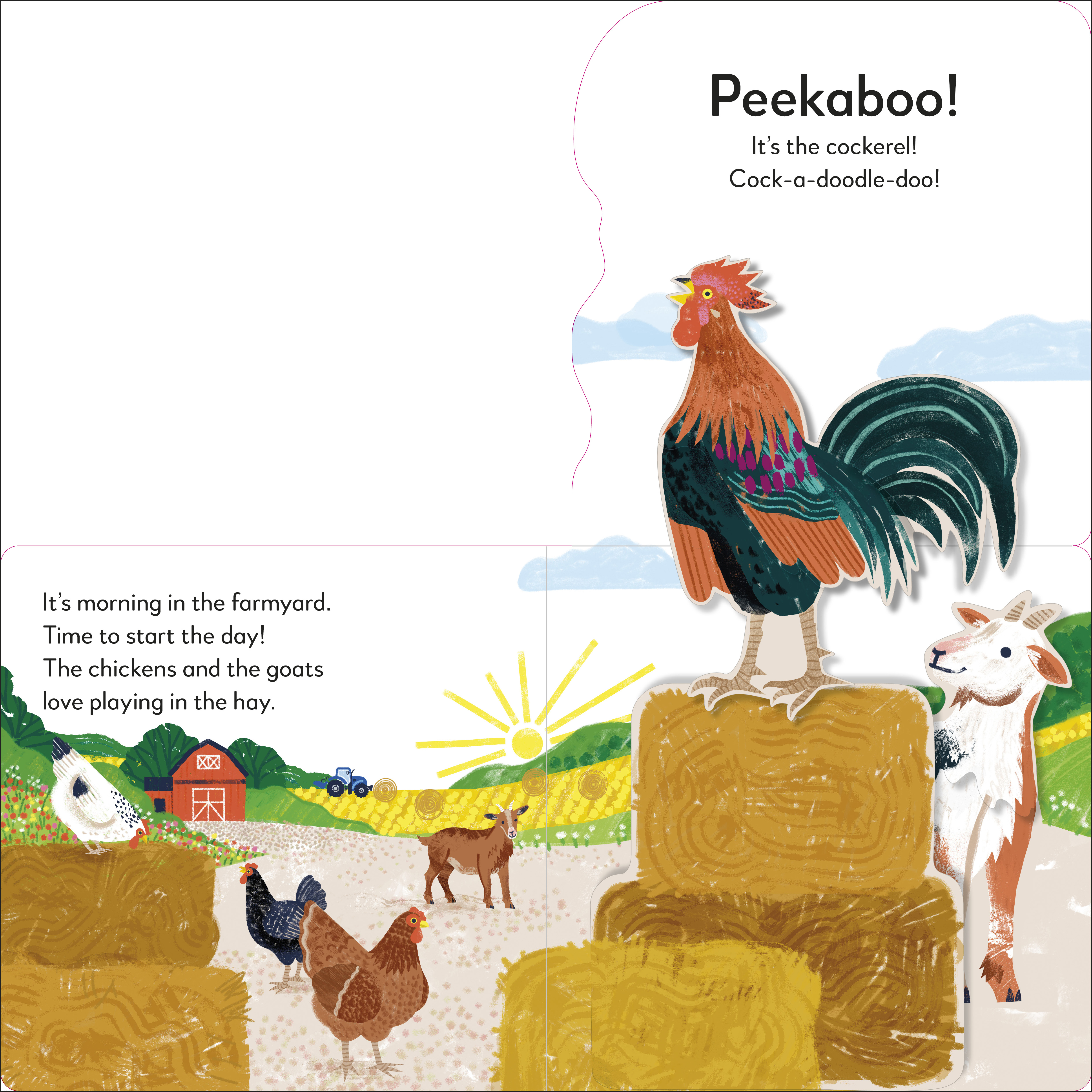 additional book photo