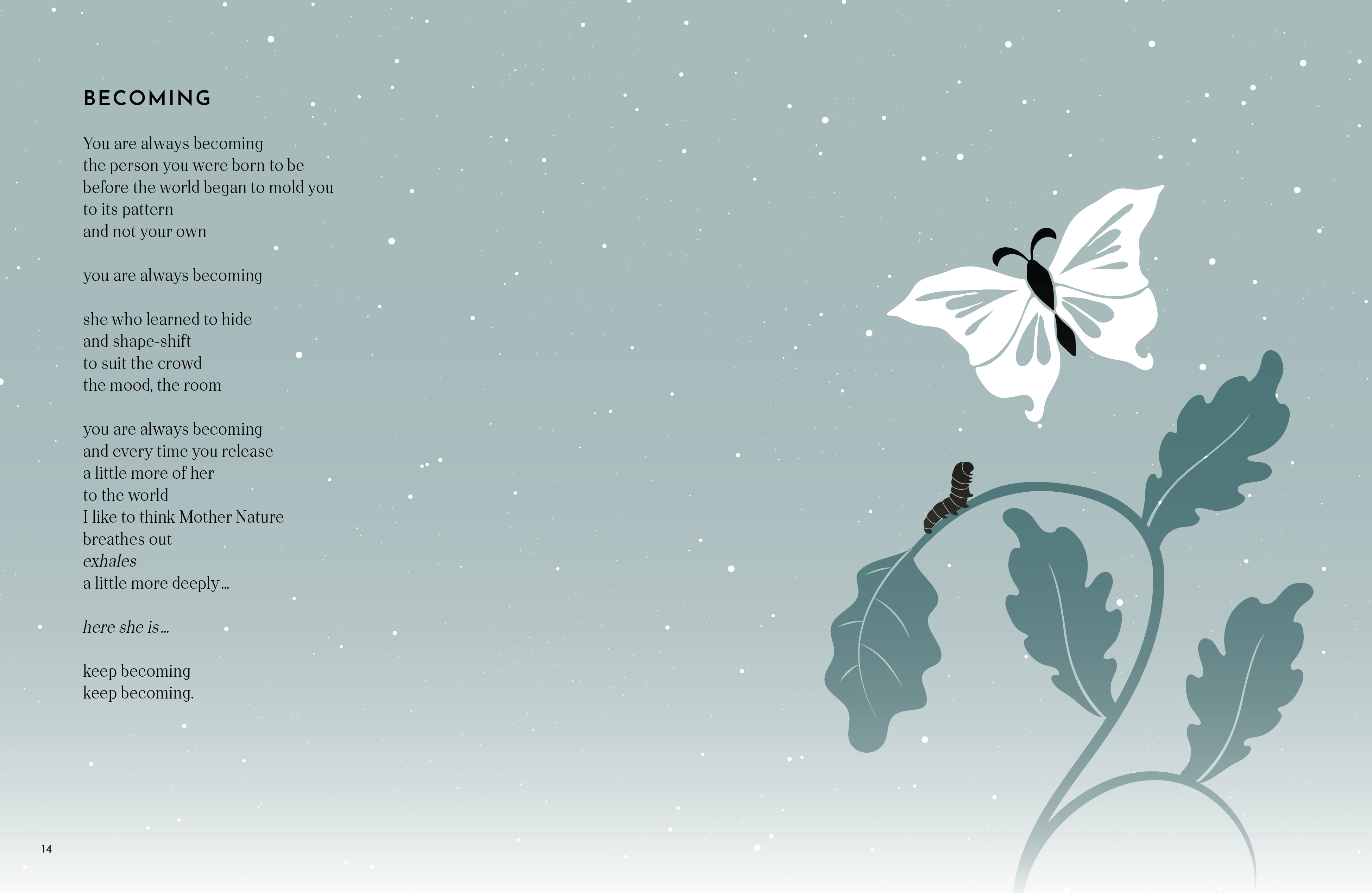 additional book photo