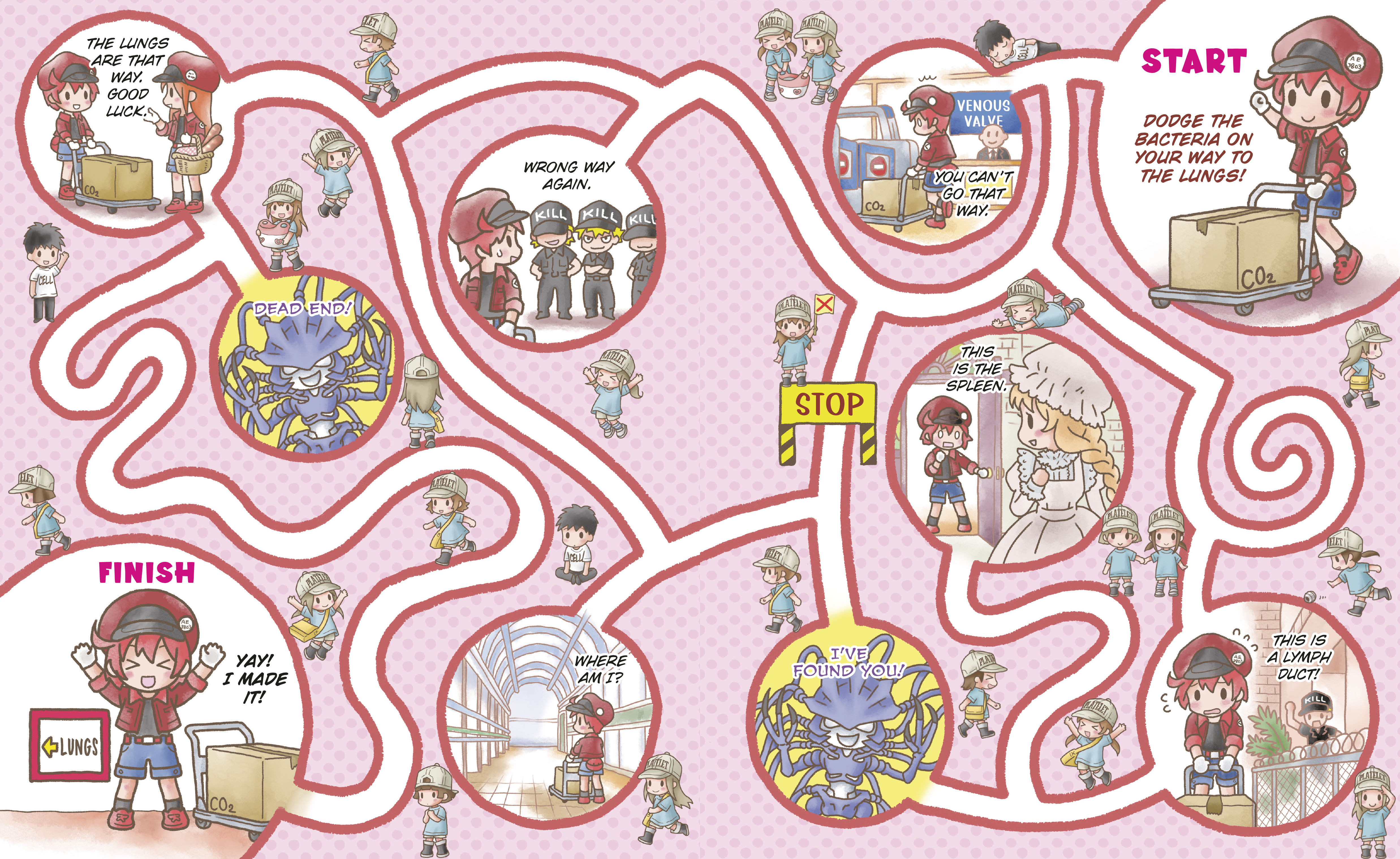 additional book photo