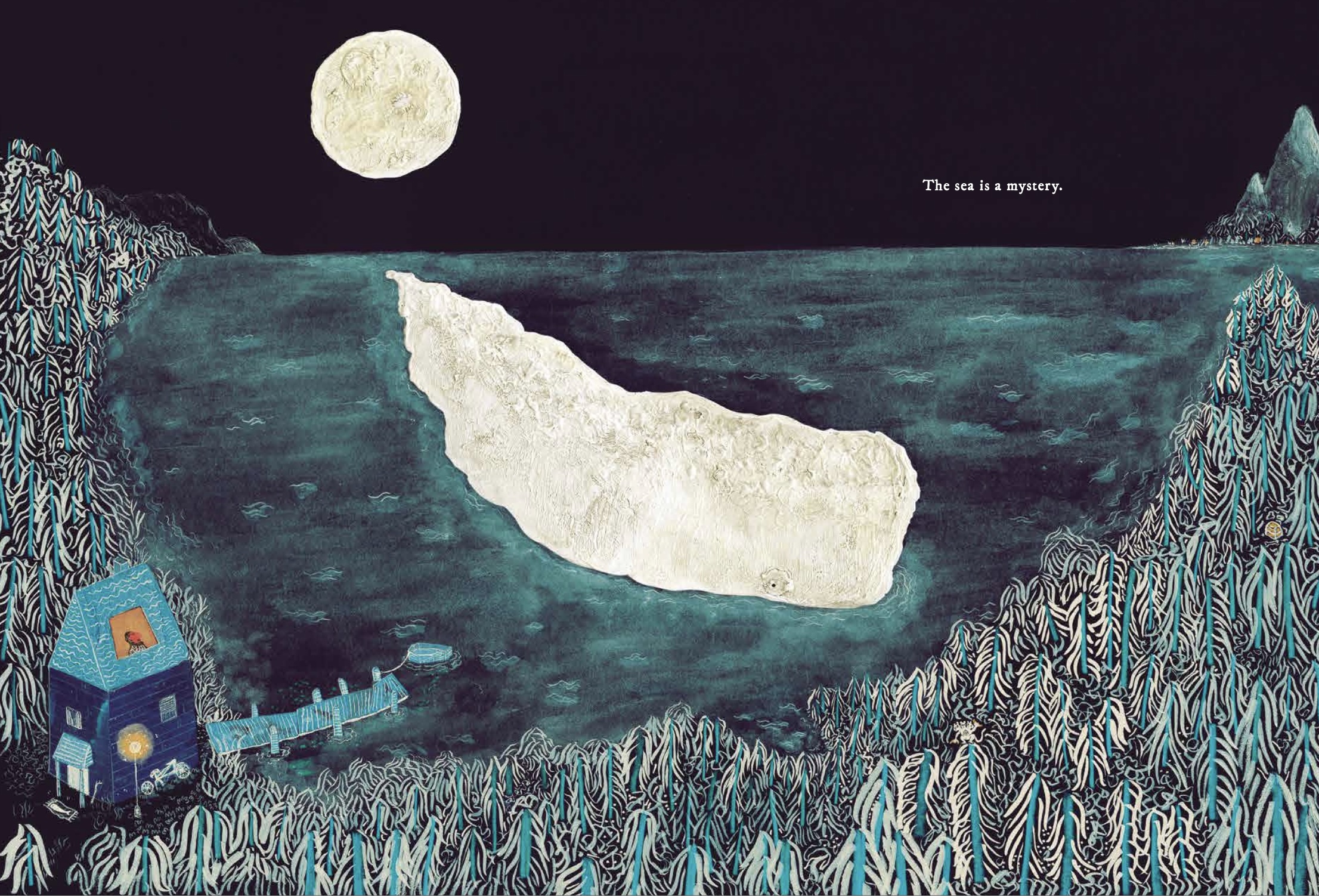 additional book photo