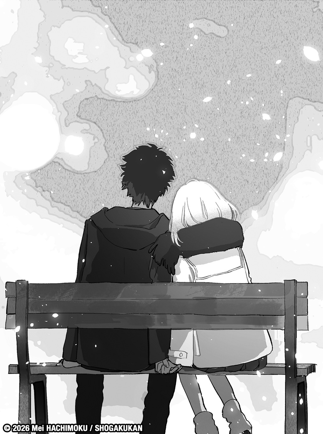 additional book photo